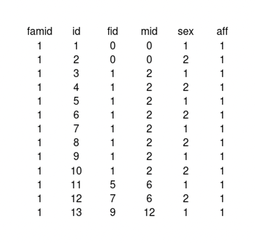 Zvětšený obrázek