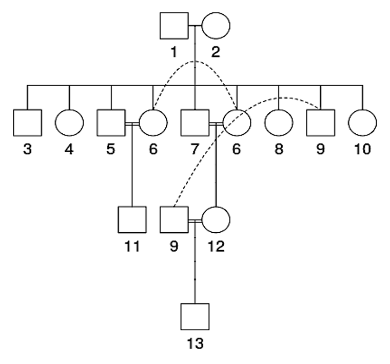 Zvětšený obrázek